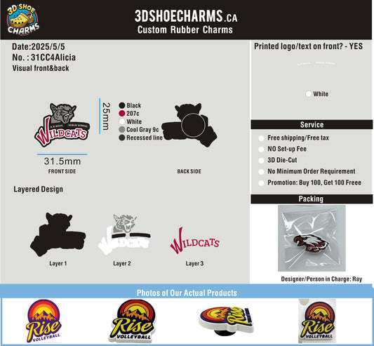 CUSTOM SHOE CHARMS-31CC4Alicia250508